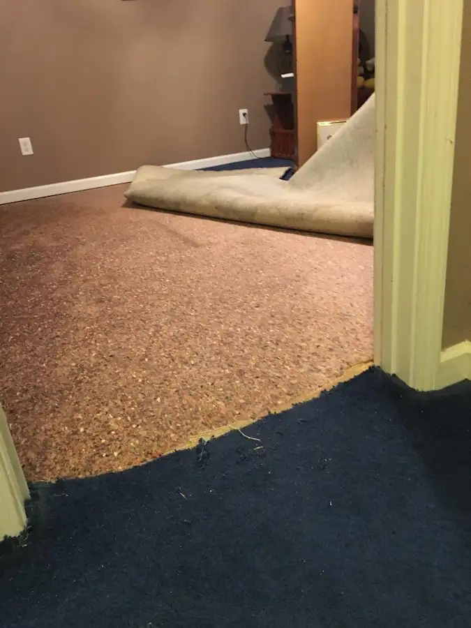 Carpet pad removal revealing water damage during Drying & Dehumidification in St. Albans